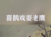 乐动体育官方入口-包含老鹰意外胜出，球队前景一片光明的词条