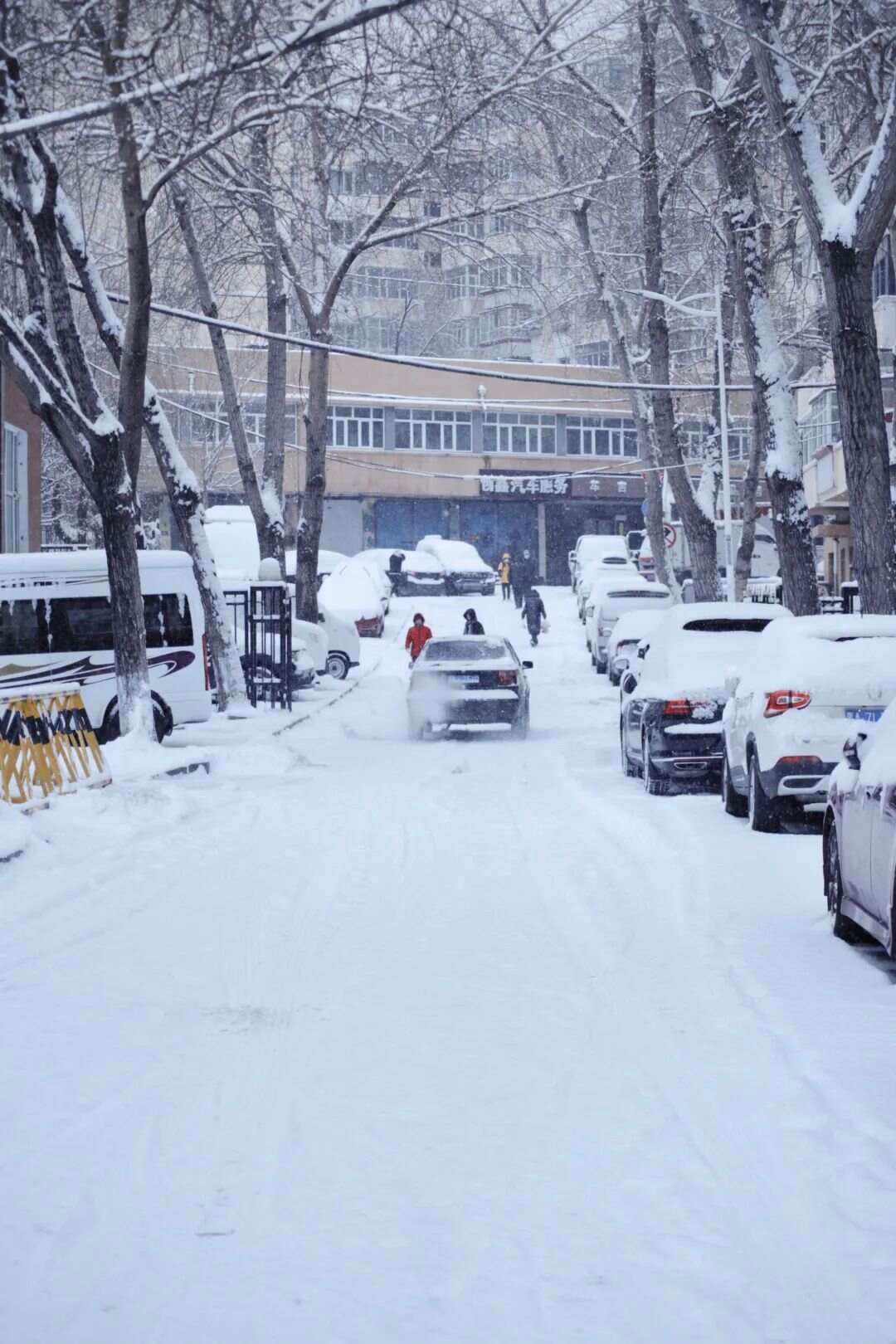 关于哈尔滨阿城继续保持不败，主场战平黑龙江虎林的信息