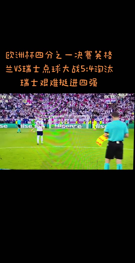 法国对抗瑞士，场上厮杀激烈，争夺欧洲杯资格赛胜者的简单介绍