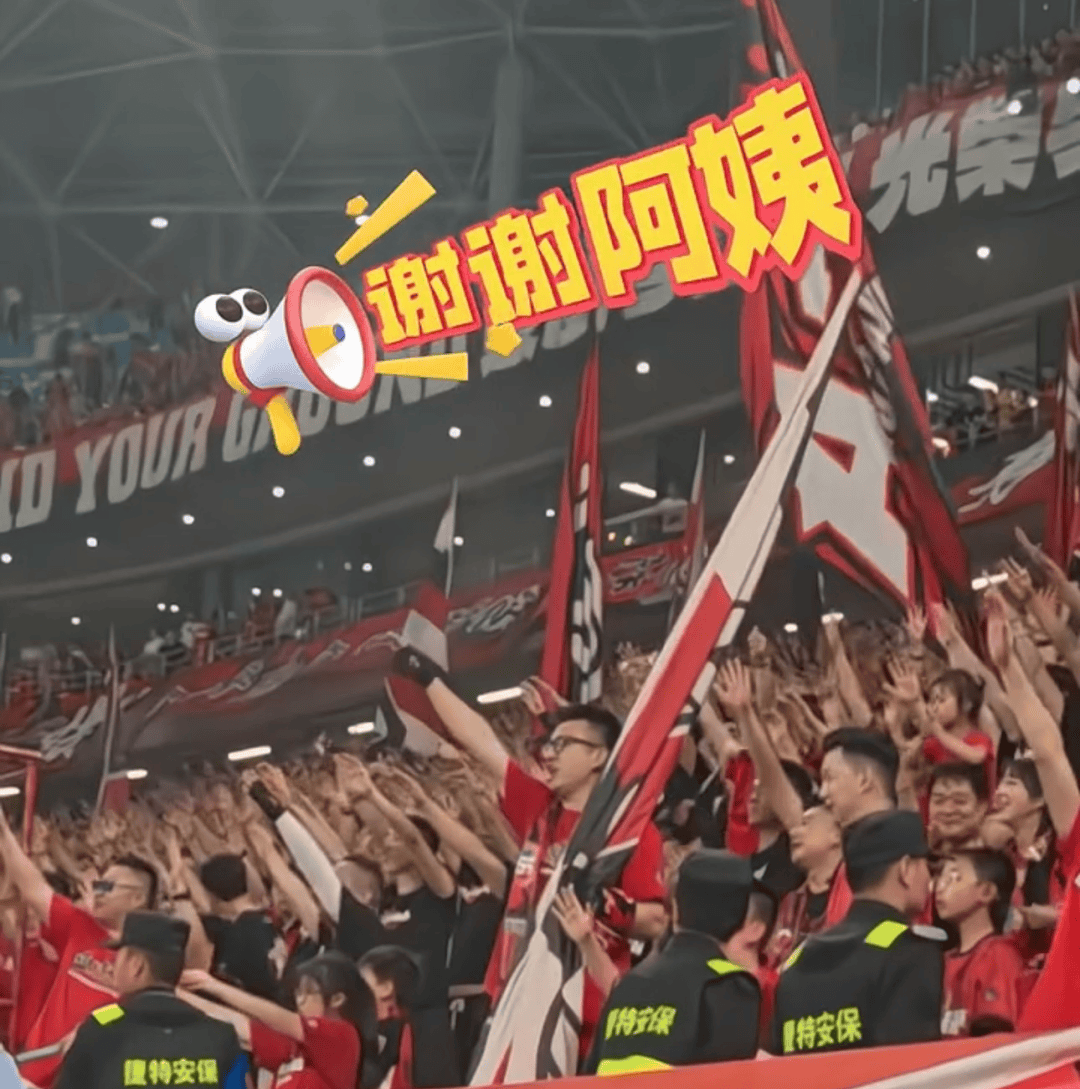 赛场上两队对抗引发球迷欢呼不已